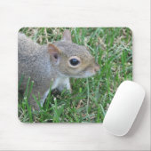 Eichhörnchen Mousepad, "Clicker " kennzeichnend Mousepad (Mit Mouse)
