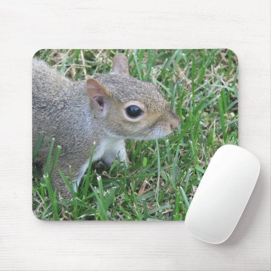 Eichhörnchen Mousepad, "Clicker " kennzeichnend Mousepad (Mit Mouse)