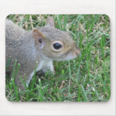 Eichhörnchen Mousepad, "Clicker " kennzeichnend Mousepad (Vorne)