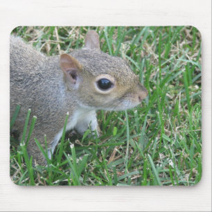 Eichhörnchen Mousepad, "Clicker " kennzeichnend Mousepad