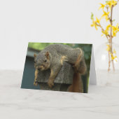 Eichhörnchen Nachmittag Karte (Gelbe Blume)
