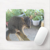 Eichhörnchen Nah hoch Mousepad (Mit Mouse)