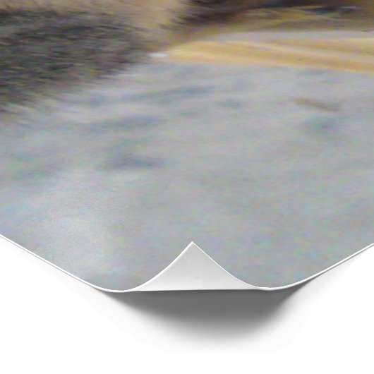 Eichhörnchen Nah UP Perfektes Poster (Ecke)