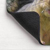 Eichhörnchen-Nahaufnahme Mousepad (Ecke)