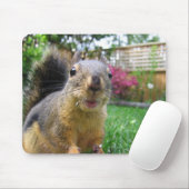 Eichhörnchen-Nahaufnahme Mousepad (Mit Mouse)