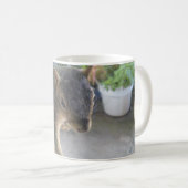 Eichhörnchen Nahe Tasse (VorderseiteRechts)