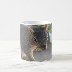 Eichhörnchen Nahe Tasse