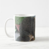Eichhörnchen Nahe Tasse (Links)