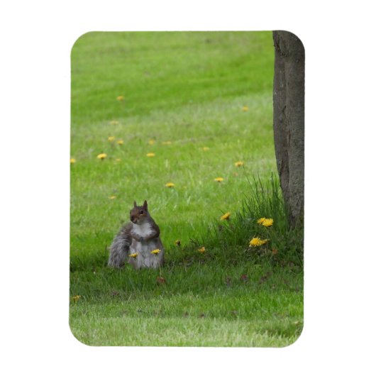 Eichhörnchen, niedlich aussehend magnet (Vertikal)