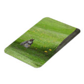 Eichhörnchen, niedlich aussehend magnet (Linke Seite)