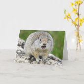 Eichhörnchen-Notecard Karte (Gelbe Blume)