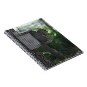 Eichhörnchen Notizblock (Rechte Seite)