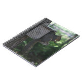 Eichhörnchen Notizblock (Linke Seite)