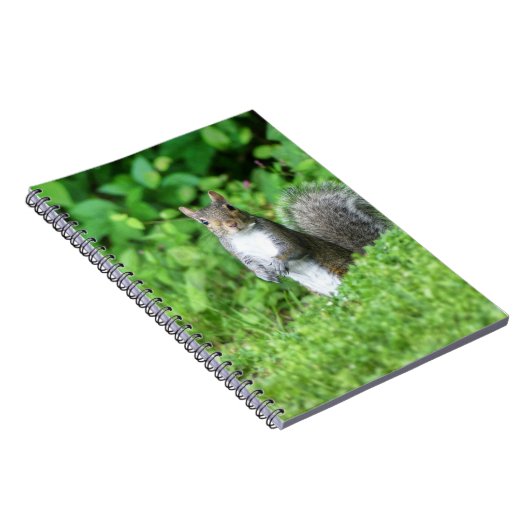 Eichhörnchen Notizblock (Rechte Seite)