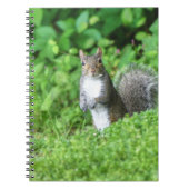 Eichhörnchen Notizblock (Vorderseite)