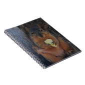 Eichhörnchen Notizblock (Rechte Seite)