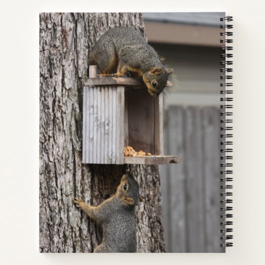 Eichhörnchen Notizblock (Rückseite)