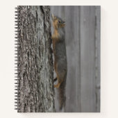 Eichhörnchen Notizblock (Vorderseite)