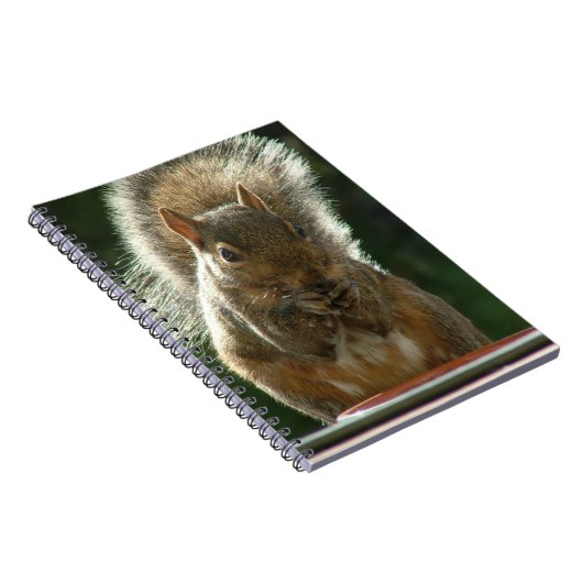 Eichhörnchen-Notizbuch Notizblock (Rechte Seite)