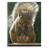 Eichhörnchen-Notizbuch Notizblock (Vorderseite)
