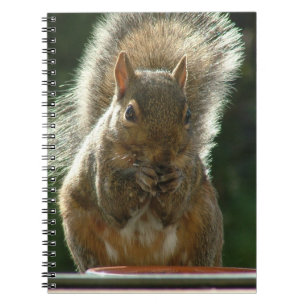 Eichhörnchen-Notizbuch Notizblock