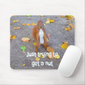 Eichhörnchen Nur beim Versuch, eine Nuss zu bekomm Mousepad (Mit Mouse)