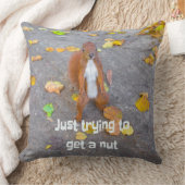 Eichhörnchen nur versuchen, sich eine Nuss zu hole Kissen (Decke)