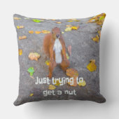 Eichhörnchen nur versuchen, sich eine Nuss zu hole Kissen (Rückseite)