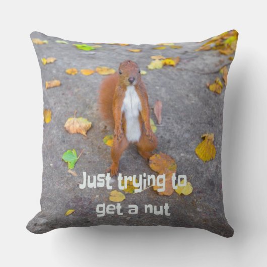 Eichhörnchen nur versuchen, sich eine Nuss zu hole Kissen (Vorderseite)