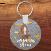 Eichhörnchen nur versuchen, sich eine Nuss zu hole Schlüsselanhänger (Vorderseite)