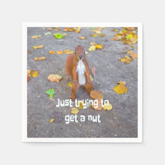 Eichhörnchen nur versuchen, sich eine Nuss zu hole Serviette (Vorderseite)