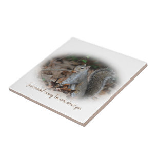 Eichhörnchen-Nüsse über Sie Fliese Trivet