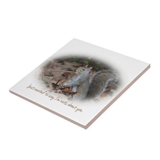Eichhörnchen-Nüsse über Sie Fliese Trivet (Seite)