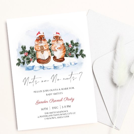 Eichhörnchen Nüsse Weihnachts Winter Gender-Offenb Einladung