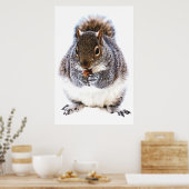Eichhörnchen Nut Poster (Küche)