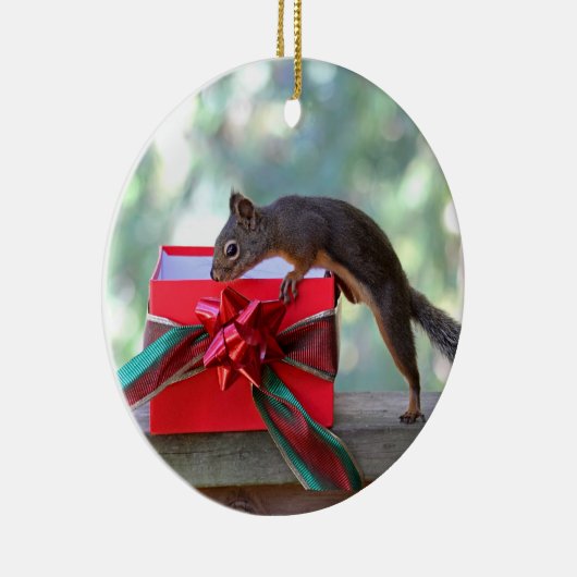 Eichhörnchen-Öffnungs-Weihnachtsgeschenk Keramikornament (Rechts)