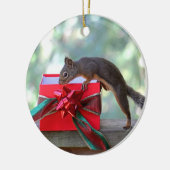 Eichhörnchen-Öffnungs-Weihnachtsgeschenk Keramikornament (Links)