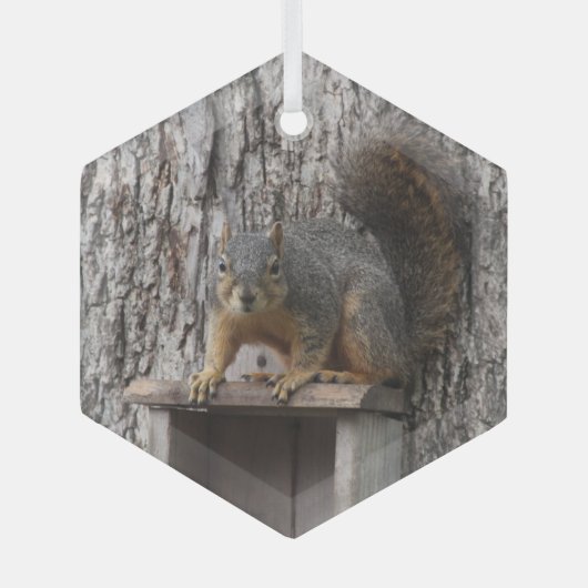 Eichhörnchen Ornament Aus Glas (Vorderseite)