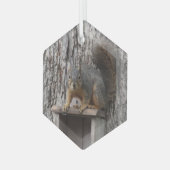Eichhörnchen Ornament Aus Glas (Vorderseite Links)