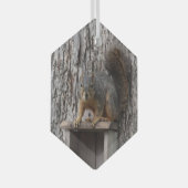 Eichhörnchen Ornament Aus Glas (Vorderseite Rechts)