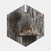 Eichhörnchen Ornament Aus Glas (Rückseite)