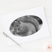 Eichhörnchen Ovaler Aufkleber (Umschlag)