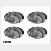 Eichhörnchen Ovaler Aufkleber (Blatt)