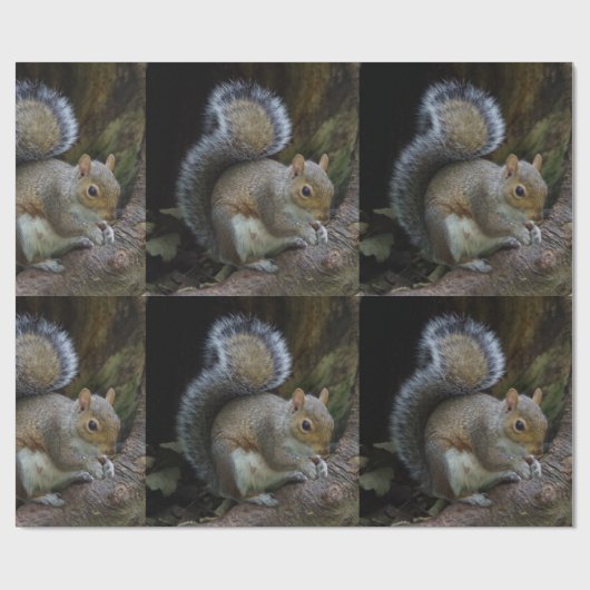 Eichhörnchen-Packpapier Geschenkpapier (Flach)