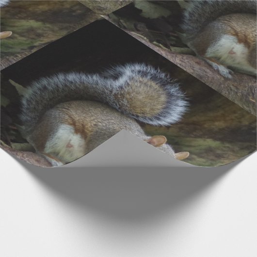Eichhörnchen-Packpapier Geschenkpapier (Ecke)