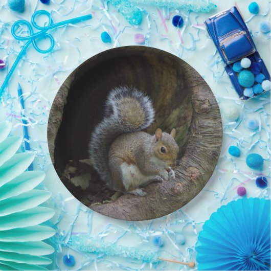 Eichhörnchen-PapierTeller Pappteller (Party)
