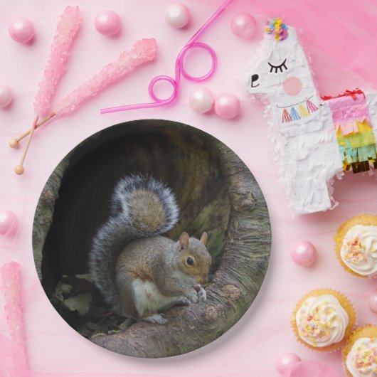 Eichhörnchen-PapierTeller Pappteller (Party)