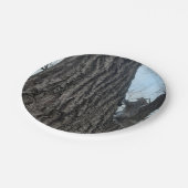 Eichhörnchen Pappteller (Schrägansicht)