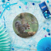 Eichhörnchen-Pappteller Pappteller (Party)