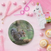 Eichhörnchen-Pappteller Pappteller (Party)